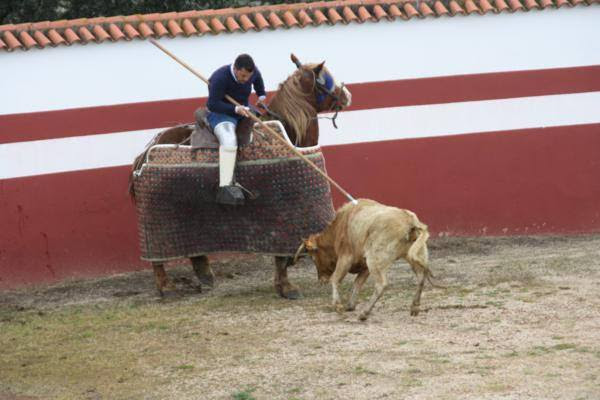 11150239_969625239715018_8758978719388910721_n