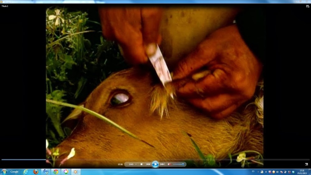 captura-de-pantalla-completa-25112013-173155