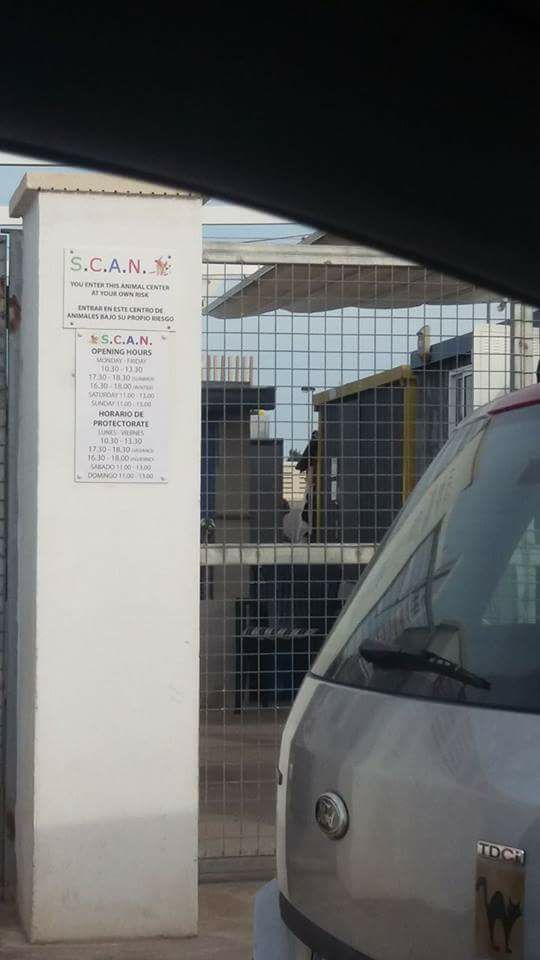 16388328_10155901836019625_5397213236815985948_n