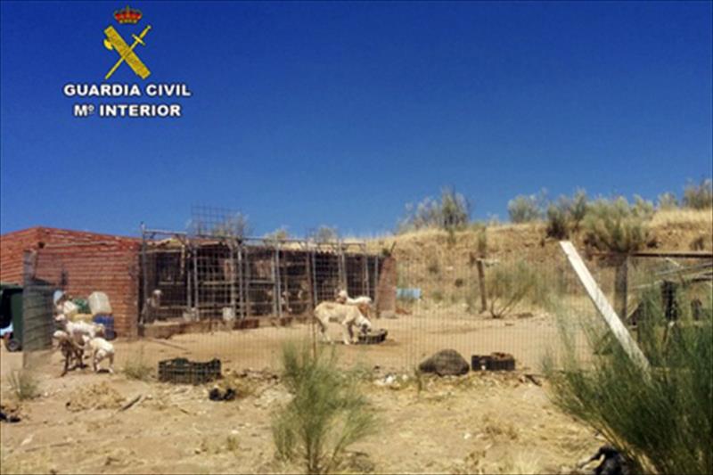 Agroinformacion.com05092014_85024-1