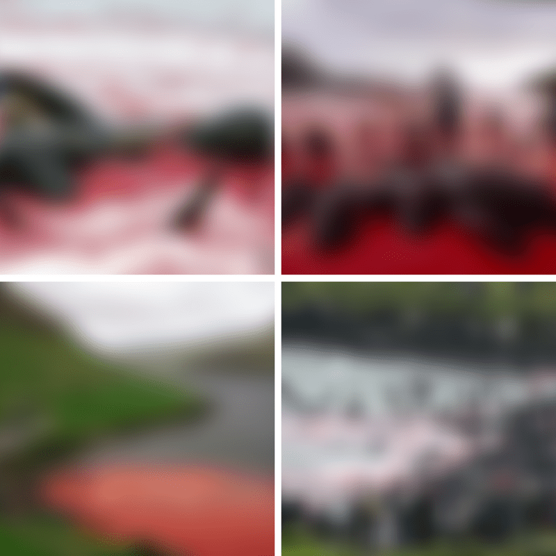 matanza calderones Islas Feroe