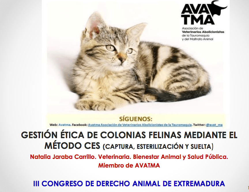 Captura de pantalla 2017-06-05 a las 14.15.00