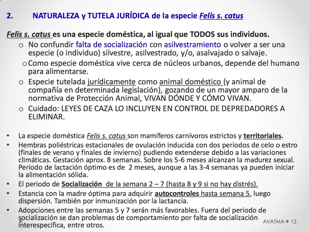 12CHARLA CES BADAJOZ_III congreso de derecho animal de Extremadura