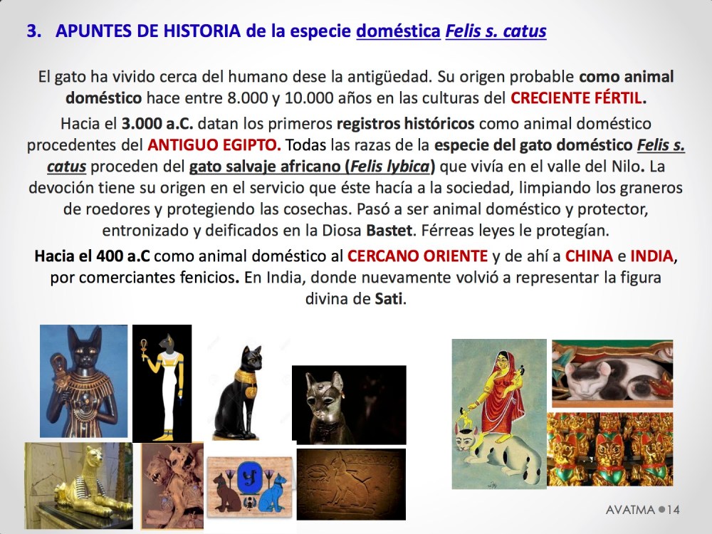 14CHARLA CES BADAJOZ_III congreso de derecho animal de Extremadura