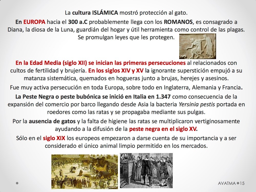 15CHARLA CES BADAJOZ_III congreso de derecho animal de Extremadura