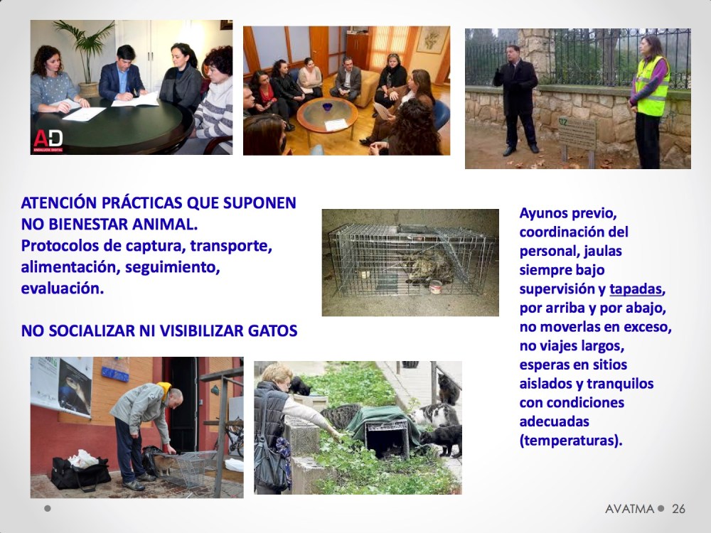 26CHARLA CES BADAJOZ_III congreso de derecho animal de Extremadura