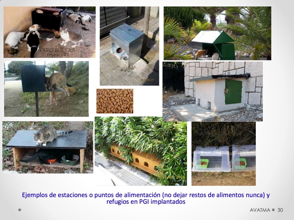 30CHARLA CES BADAJOZ_III congreso de derecho animal de Extremadura