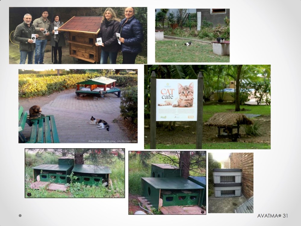 31CHARLA CES BADAJOZ_III congreso de derecho animal de Extremadura