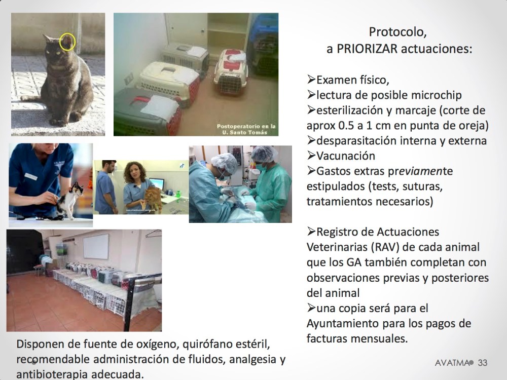 33CHARLA CES BADAJOZ_III congreso de derecho animal de Extremadura