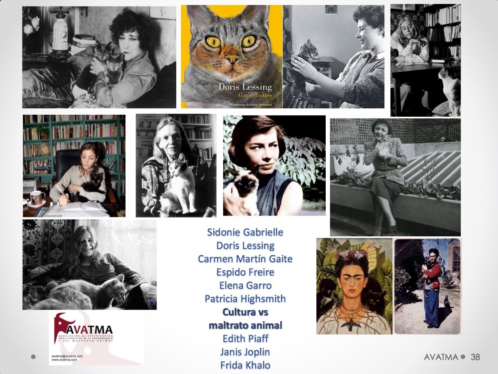 38CHARLA CES BADAJOZ_III congreso de derecho animal de Extremadura