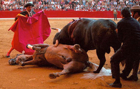 Toros