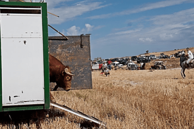 Captura de pantalla 2017-12-18 a las 13.39.33