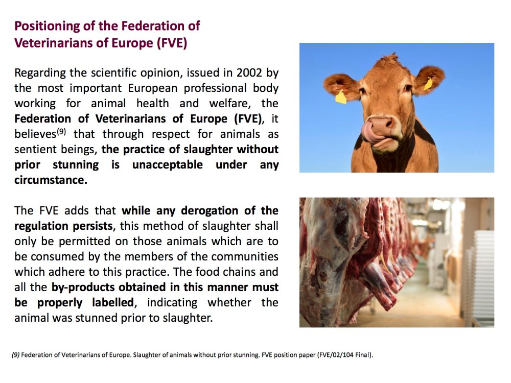 Presentation AVATMA-2slaughter without stunning