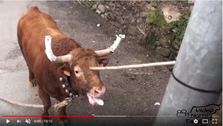 Captura de pantalla completa 22062018 103958