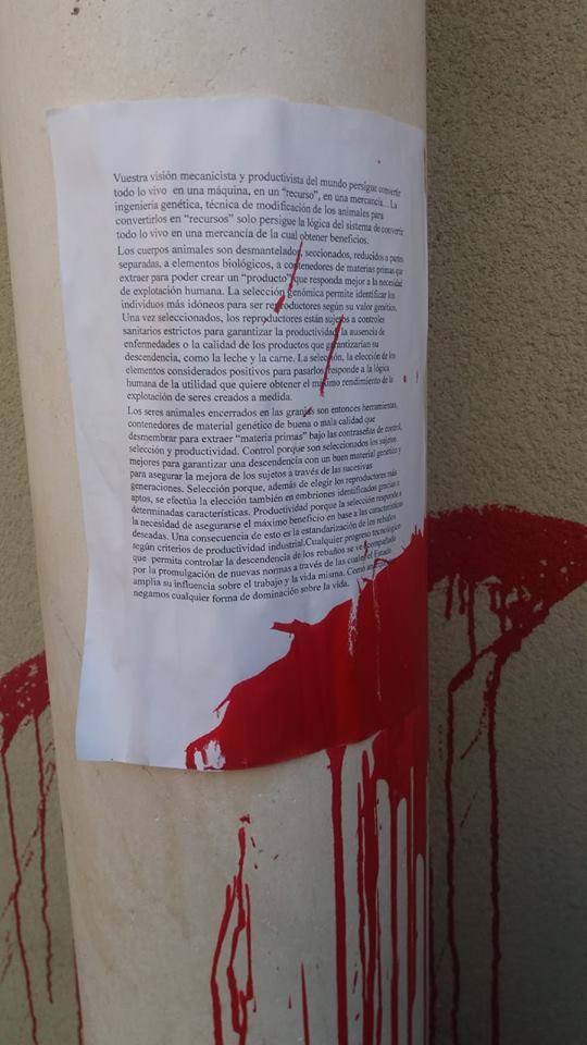 47032355_10215496042985566_7336862180991565824_n