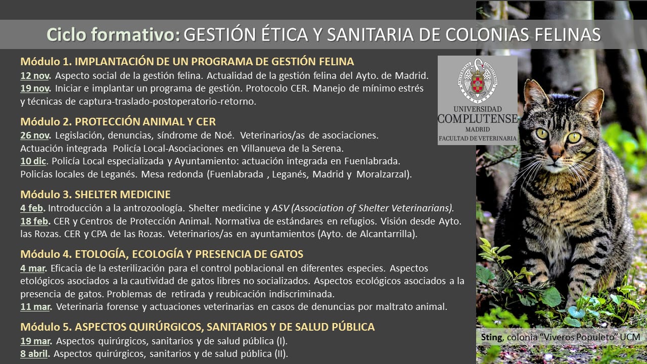 WhatsApp Image 2018-11-07 at 07.54.49 (1)